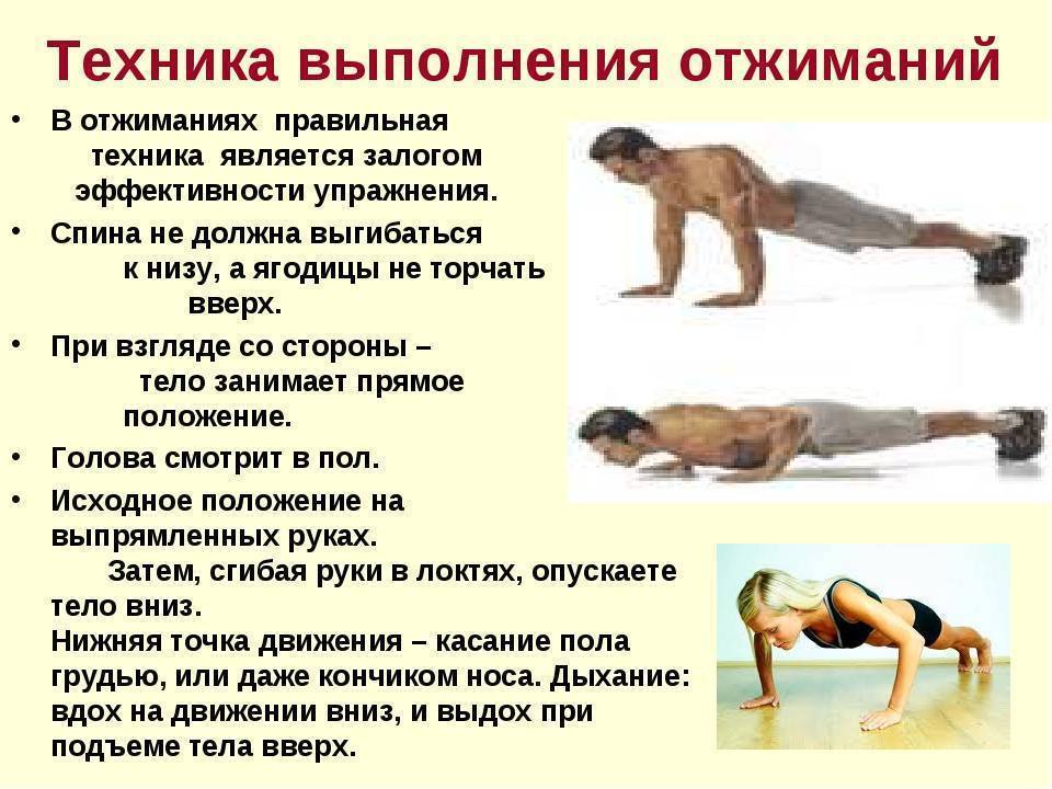 правильная техника выполнения отжимания